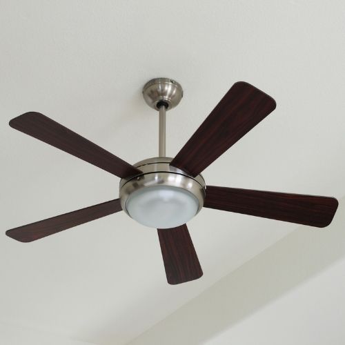 Lighting & Ceiling Fans